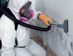 Trusted Annetta, TX Mold Inspection Experts